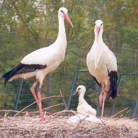 Appartement F1 With Parking *