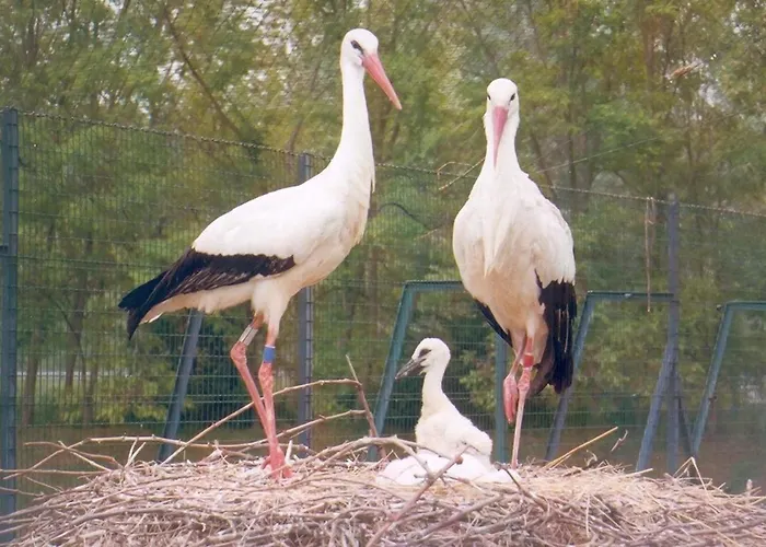 Appartement F1 With Parking *